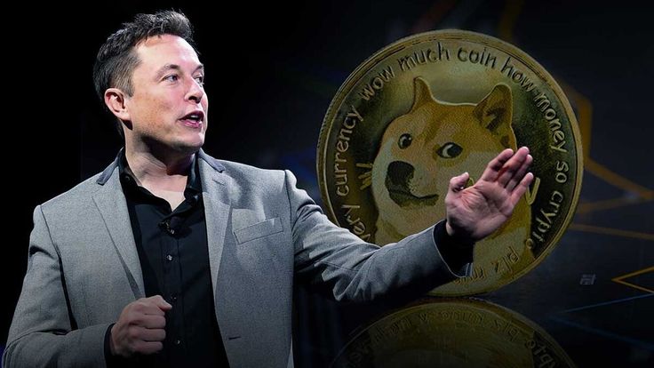 elon musk coins